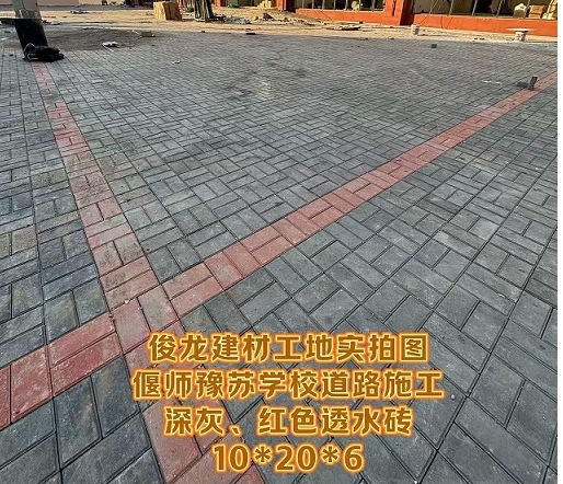 偃師豫蘇學(xué)校道路施工（深灰、紅色透水磚 10*20*6）