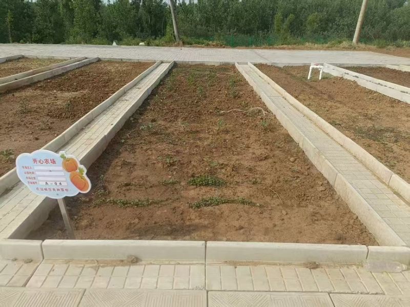 伊川野狐嶺共享菜園